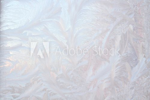 Fototapeta Mróz na zimowe okna