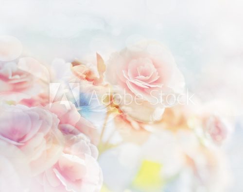 Fototapeta Romantyczne róże w stylu vintage