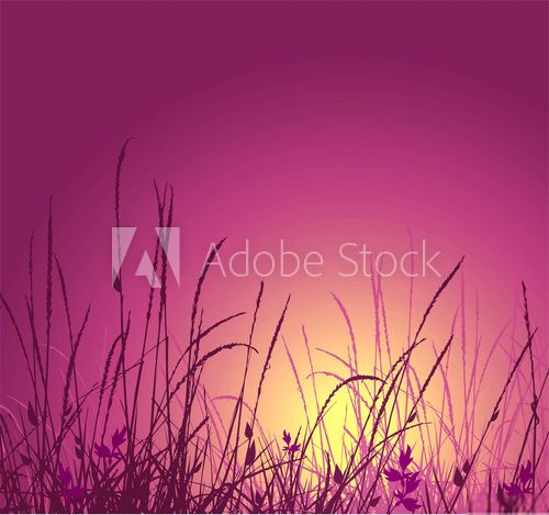 Fototapeta sylwetka wektor trawy i zachód słońca