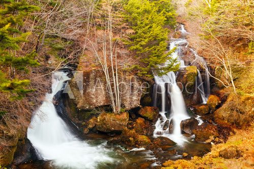 Fototapeta Wodospad w lesie