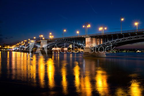 Fototapeta Zamek Mainz z mostem Theodora-Heussa