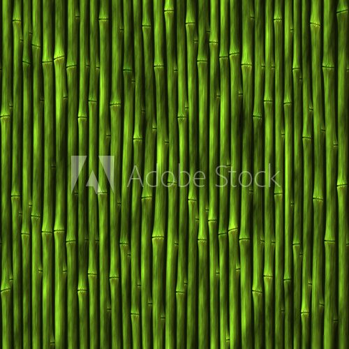 Fototapeta Zielona bambusowa ściana