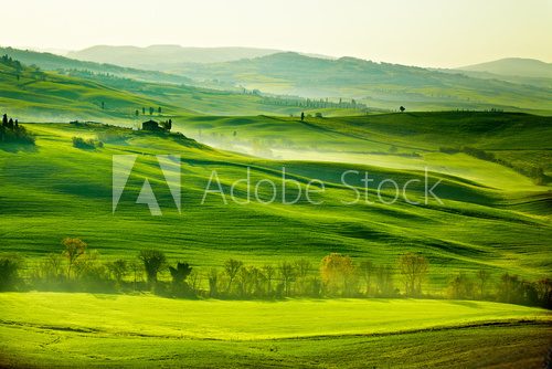 Fototapeta Zielone, toskańskie pola