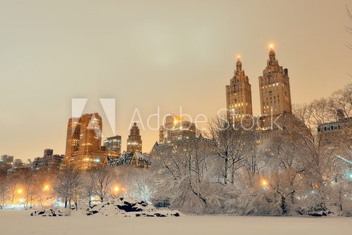 Fototapeta Zimą w Central Parku