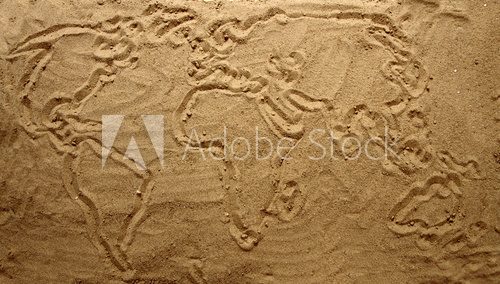 Fototapeta żółta tekstura piasku (mapa świata)
