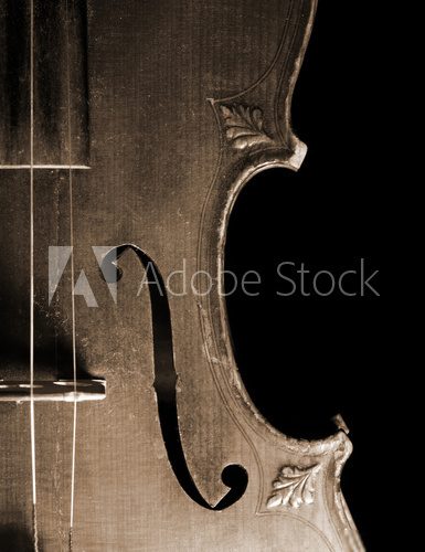 Obraz Część rocznika skrzypce