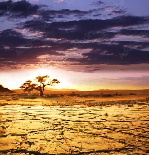 Obraz Namib