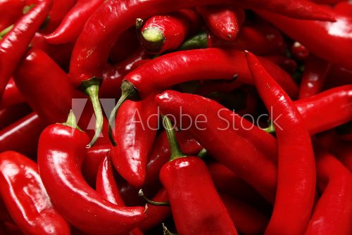 Obraz Papryczka chili - ognista czerwień