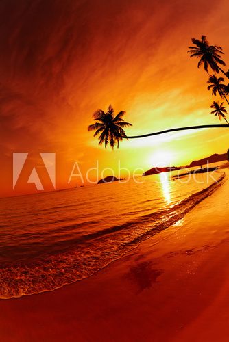 Obraz Tropikalna plaża o zachodzie słońca