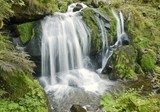 Fototapeta idylliczne wodospady Triberg