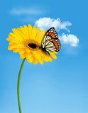 Fototapeta Natura lato żółty kwiat z motylem. Ilustracji wektorowych.