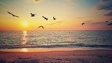 Fototapeta Piękny wschód słońca nad plaży i latające ptaki