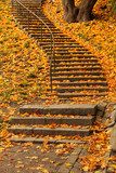Fototapeta Schody wypełnione kolorowymi jesiennych liści