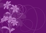Fototapeta seria vector - bukiet kwiatów na fioletowym tle