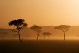 Fototapeta Zachód słońca w Masai Mara