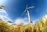 Obraz Turbina wiatrowa - odnawialne źródło energii
