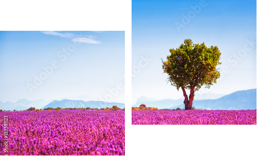 Liryczny krajobraz - samotne drzewo - Obraz dwuczęściowy, Dyptyk