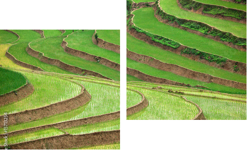 Tarasy ryżowe na zboczach gór - Obraz dwuczęściowy, Dyptyk