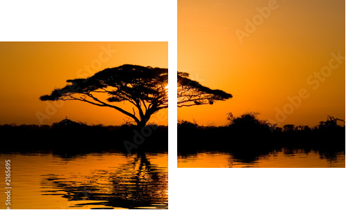 Drzewo akacji w promieniach słońca - Obraz dwuczęściowy, Dyptyk