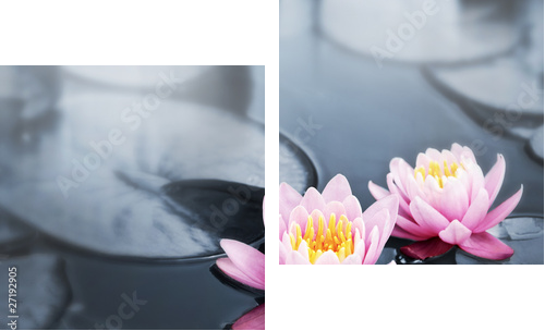 Czarująca głębia kwiatu lotosu - Obraz dwuczęściowy, Dyptyk