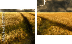 burza nad złotym polu jęczmienia - Obraz dwuczęściowy, Dyptyk