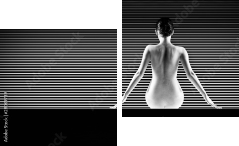 czarno-białe artystyczne nago; strzał z tyłu sylwetka na paski - Obraz dwuczęściowy, Dyptyk