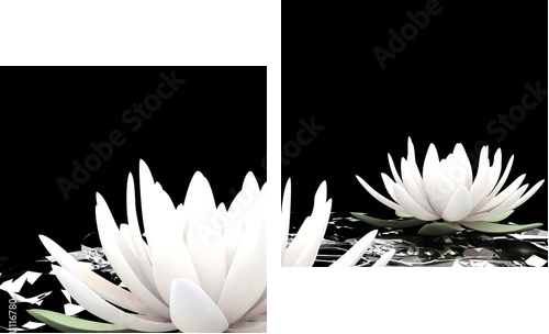 Biały kwiat lotosu na wodzie - Obraz dwuczęściowy, Dyptyk