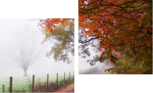 Taniec spadających liści – jesienny poranek - Obraz dwuczęściowy, Dyptyk