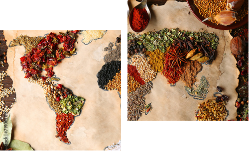 Mapa świata wykonane z różnych rodzajów przypraw, zbliżenie - Obraz dwuczęściowy, Dyptyk