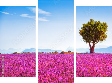 Liryczny krajobraz - samotne drzewo - Obraz trzyczęściowy, Tryptyk