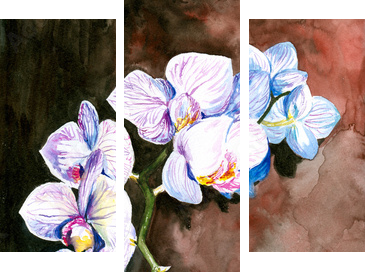 Orchid akwarela malowane. - Obraz trzyczęściowy, Tryptyk