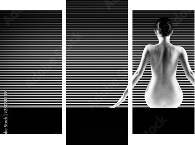 czarno-białe artystyczne nago; strzał z tyłu sylwetka na paski - Obraz trzyczęściowy, Tryptyk