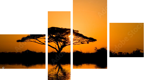 Drzewo akacji w promieniach słońca - Obraz czteroczęściowy, Fortyk