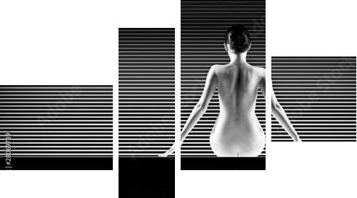 czarno-białe artystyczne nago; strzał z tyłu sylwetka na paski - Obraz czteroczęściowy, Fortyk