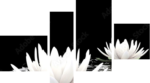 Biały kwiat lotosu na wodzie - Obraz czteroczęściowy, Fortyk