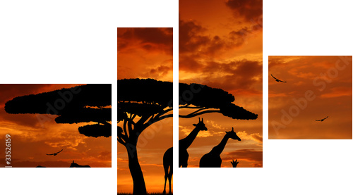 Stado żyraf w blasku zachodzącego słońca - Obraz czteroczęściowy, Fortyk