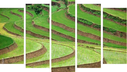 Tarasy ryżowe na zboczach gór - Obraz pięcioczęściowy, Pentaptyk