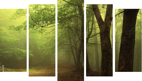 Zielony las spowity poranną mgłą - Obraz pięcioczęściowy, Pentaptyk
