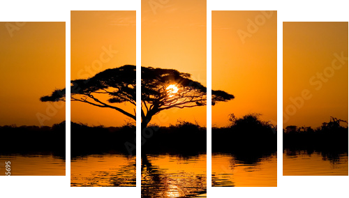 Drzewo akacji w promieniach słońca - Obraz pięcioczęściowy, Pentaptyk