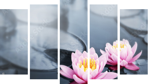 Czarująca głębia kwiatu lotosu - Obraz pięcioczęściowy, Pentaptyk