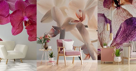 Postaw na kwiatowy akcent w twoim mieszkaniu fototapety orchidea