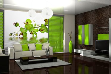 Ekstrawagancka-zielona-orchidea-do-salonu-fototapety-fixar