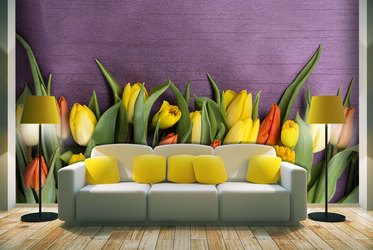 Wiosenny-usmiech-tulipanow-kwiaty-fototapety-fixar