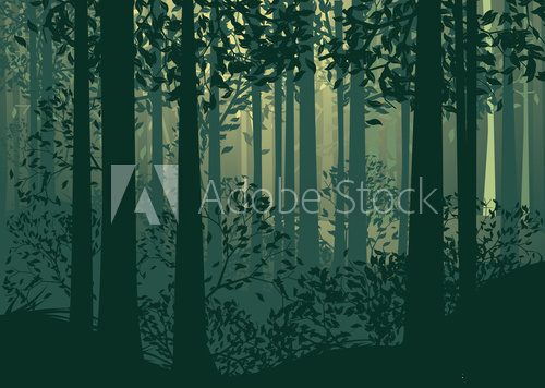 Fototapeta Abstrakcyjny krajobraz leśny