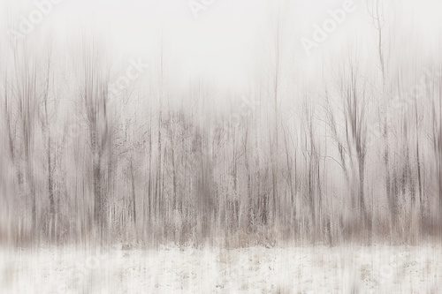 Fototapeta abstrakcyjny las rozmyte zimowe pionowe linie / zimowe tło lasu, abstrakcyjny krajobraz