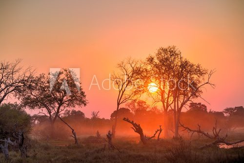 Fototapeta Afryka Zachód słońca