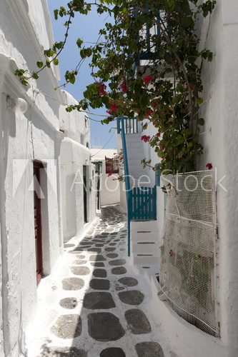 Fototapeta Alley Way Mykonos Grecja