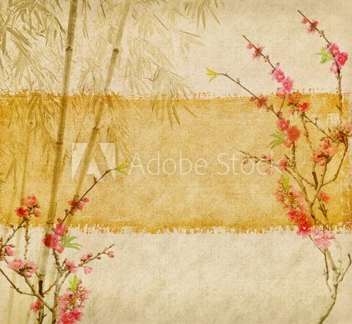 Fototapeta Bambus i śliwkowy kwiat na starej antykwarskiej papierowej teksturze