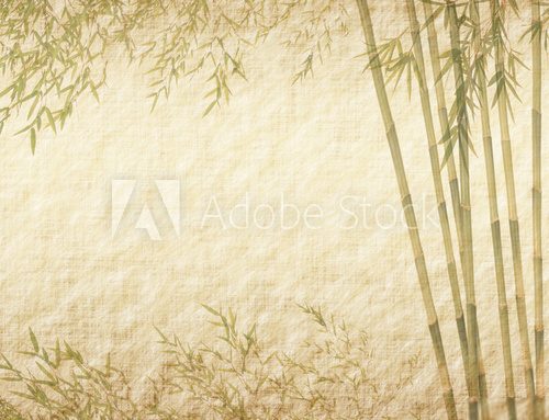 Fototapeta bambus na starej grunge tekstury papieru antyczne.