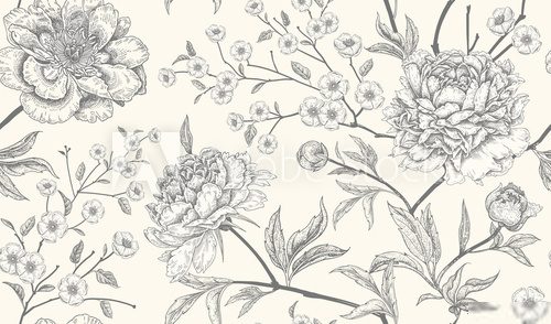 Fototapeta Botaniczne rysunki peonii i liści
